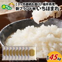 【ふるさと納税】【3ヶ月連続お届け】令和5年度産 福井県産新ブランド米 いちほまれ 15kg（5kg×3袋）×3ヶ月（計45kg） / 白米 精米 ご飯 ごはん 定期便