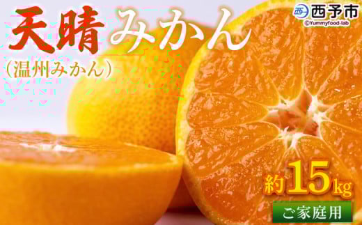 ＜愛媛県明浜産 天晴みかん（温州みかん）約15kg＞ 訳あり 柑橘 果物 フルーツ オレンジ 期間限定 季節限定 食べて応援 特産品 温州みかん 家庭用 のし対応可 愛媛県 西予市【常温】