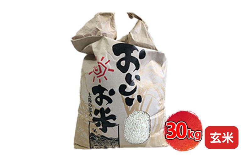 [令和7年産新米]<10月初旬以降発送予定>きぬひかり玄米30キロ 兵庫県姫路市産　新米　白米　米　お米 精米 ご飯 甘みが強い ツヤ キヌヒカリ もっちりとした食感 単一原料米 おいしいお米 