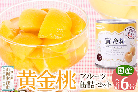 Sanuki フルーツ缶詰 黄金桃 6缶セット