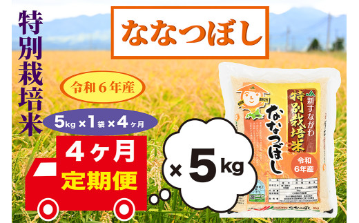 【定期便4回】北海道奈井江町　特別栽培米　ななつぼし　5kg