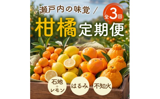 【先行受付】三原の柑橘定期便 全3回 石地 レモン はるみ 不知火 しらぬい デコポン みかん かんきつ フルーツ 果物 産地直送 ジューシー 瀬戸内 広島県三原市 T16