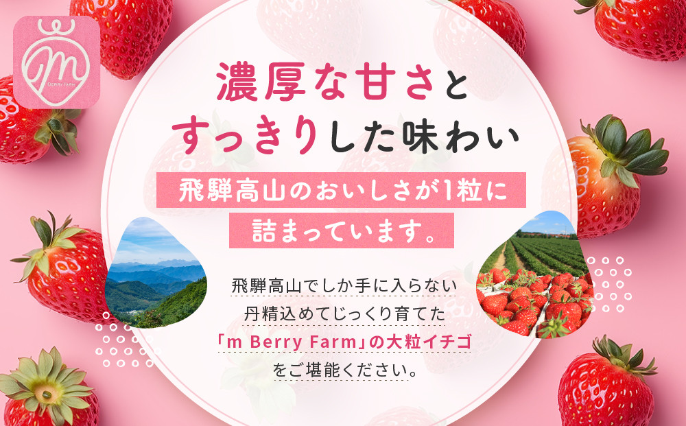 【いちご15粒】朝摘み! 濃厚紅ほっぺ 約350g×1パック（数量限定／先行予約／1月〜4月発送）| いちご フルーツ 甘い おいしい ハウス栽培 飛騨高山 m BerryFarm KL004