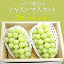 【ふるさと納税】ハウス栽培 の シャインマスカット 2房 ( 約1.4kg～1.6kg ) 令和7年産 先行予約 ぶどう ブドウ 葡萄 フルーツ