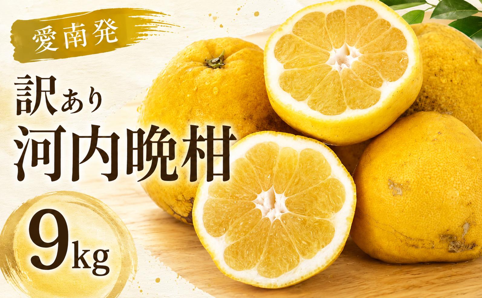 
                  【 数量限定 】  訳あり 河内晩柑  9kg （ サイズミックス ） 9000円 みかん mikan 蜜柑 ミカン わけあり かわちばんかん 愛南ゴールド あいなん ゴールド 文旦 派生 和製 グレープフルーツ 家庭用 産地直送 国産 農家直送 期間限定 特産品 ゼリー ジュース 人気 限定 甘い フルーツ 果物 柑橘 規格外 本田果樹園 愛南町 愛媛県 ミカン
                