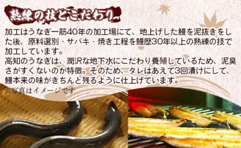 高知県産養殖うなぎ蒲焼き 2尾(合計約440g) - タレ付き たれ 土用の丑の日 鰻 ウナギ かばやき 蒲焼き うな丼 うな重 ギフト お中元 御中元 父の日 お礼 御礼 感謝 贈答 贈り物 送料無