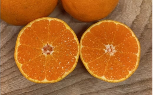 【来シーズン先行予約】はるみ 和歌山みかん 秀品 2Lサイズ 18個入り 贈答用※2026年1月中旬頃に順次発送予定 / はるみ 柑橘 贈り物 フルーツ 果物 くだもの 食品 人気 おすすめ 送料無料 由良町【ksmt015】