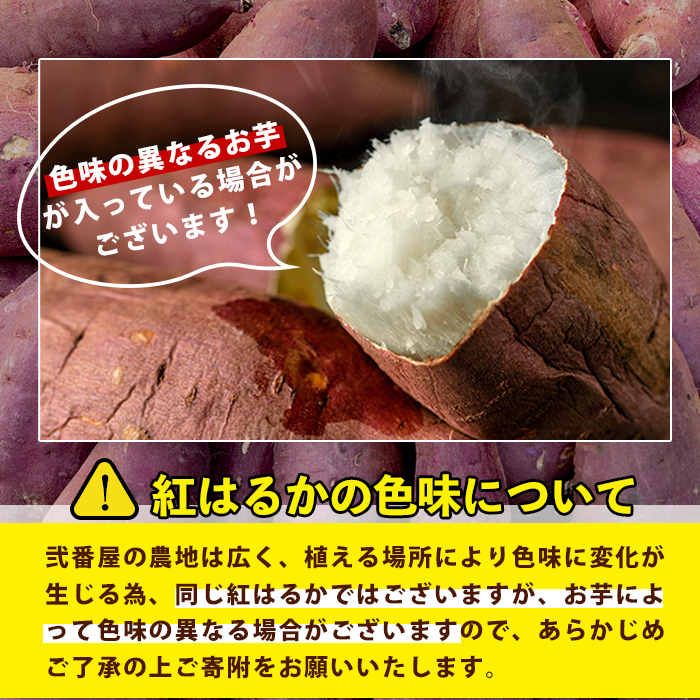 s604 ≪先行予約受付中！2025年11月上旬より順次発送予定≫《期間限定》鹿児島県産紅はるか生芋(5kg) 鹿児島 お芋 生芋 べにはるか 紅はるか さつまいも サツマイモ 薩摩芋 焼き芋 おかず