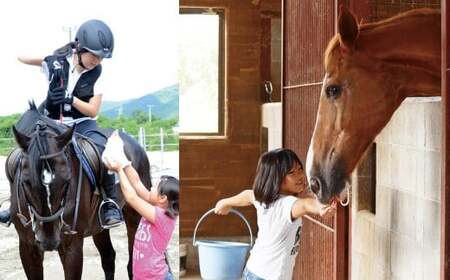 初心者歓迎 マンツーマン乗馬教室30分×4回 エヒメ乗馬クラブ（小学生以上1名）