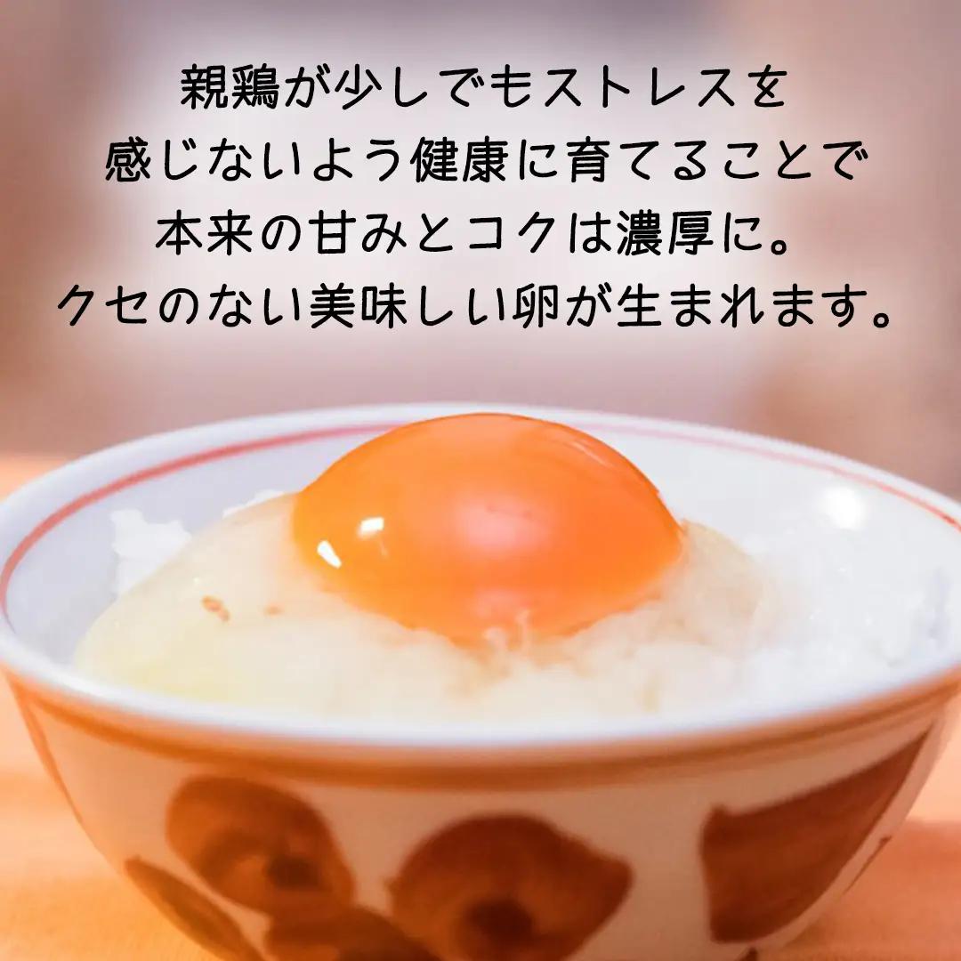 紅プレミアム 卵 30個 （ 25個 入り ＋ 割れ保障 5個 ） 