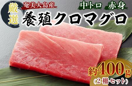 奄美大島産養殖クロマグロ 2柵セット 400g以上 中トロ 赤身 冷凍