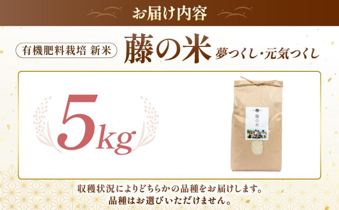 【令和7年度産】藤の米(ふじのまい) 5kg【フジノ農園】