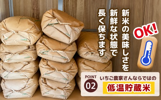 【定期2回】 数量限定 訳あり 定期便 令和8年度 栃木県産コシヒカリ 約 20kg | 数量限定 こしひかり  玄米 米 ごはん ご飯 米 kome okome コシヒカリ 栃木県産 訳あり 送料無
