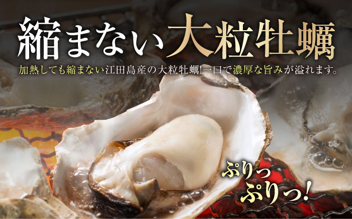 【訳あり】賞味期限間近！鍛え牡蠣 冷凍むき身 Mサイズ 計800g 江田島市/有限会社寺本水産 [XAE068] 牡蠣 かき カキ 人気 海鮮 BBQ 簡単 レシピ ギフト