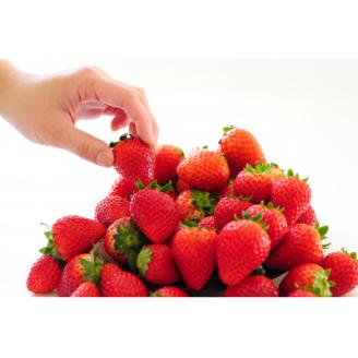 ルビーの輝き!!いちご王国栃木の新品種　大粒『とちあいか』(300g×4パック)【配送不可地域：離島】