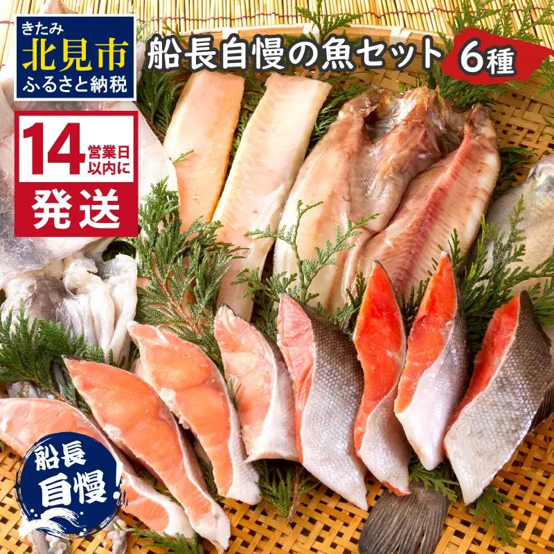 《14営業日以内に発送》船長自慢の海鮮セット ( 海鮮セット 海鮮 魚介類 ホッケ ナメタガレイ いか サーモン 鮭 時鮭 紅鮭 )【114-0086】