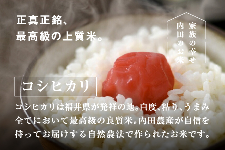 【６ヶ月連続お届け】新米！2024年10月以降順次発送！令和6年産 内農米コシヒカリ定期便 5kg × 6回 計30kg