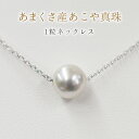 【ふるさと納税】選べる金具 あこや真珠 ネックレス 8.5mm - 9mm 1粒 ナチュラルカラー スルーネックレス SV925 シルバー925 天草産 真珠 熊本県 天草市 お取り寄せ アクセサリー ジュエリー おしゃれ 特別な日 普段使い 送料無料