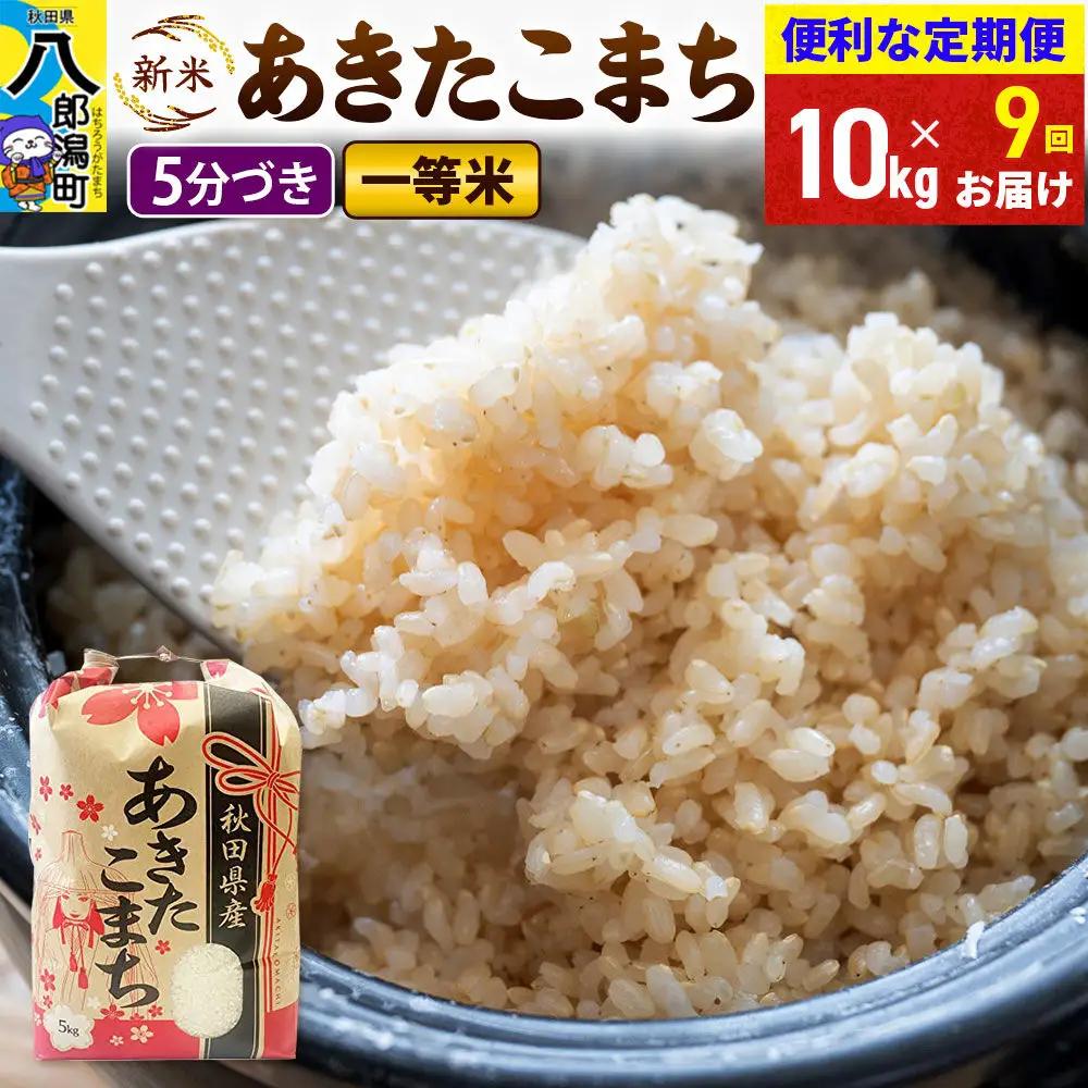 《新米》《定期便9ヶ月》あきたこまち 一等米 10kg【5分づき】 令和8年産 秋田県産 こまちライン