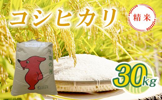 
            令和7年産  コシヒカリ精米 30kg T04501  / 検査済米（1等） 米 精米 白米 コシヒカリ こしひかり こめ コメ ごはん ご飯 千葉県 大多喜町
          