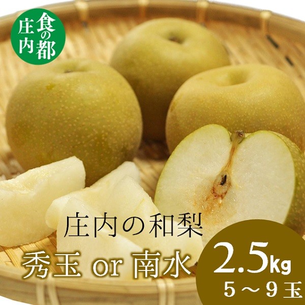 
            食の都庄内　庄内の和梨【秀玉or南水】約2.5kg※9月中旬ごろより順次配送
          