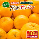 【ふるさと納税】先行予約 訳あり 数量限定 宮浦 ポンカン 計10kg以上 フルーツ 果物 くだもの 柑橘 みかん 国産 食品 期間限定 訳アリ おすすめ デザート おやつ フルーツサンド ジュース ご家庭用 ご自宅用 B品 おすそ分け 不揃い 傷 産地直送 宮崎県 日南市 送料無料