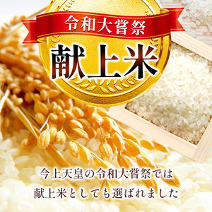 2026年 先行予約【定期便2回】令和大嘗祭献上米！真岡市産 とちぎの星（精米） 10kg (CN)