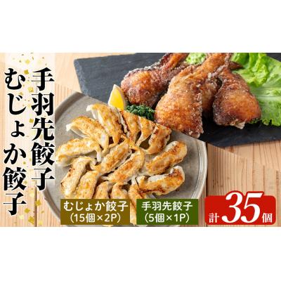 ふるさと納税 霧島市 餃子2種セット(手羽先餃子5個・むじょか餃子 計35個)【MAGONIMO餃子】285-C
