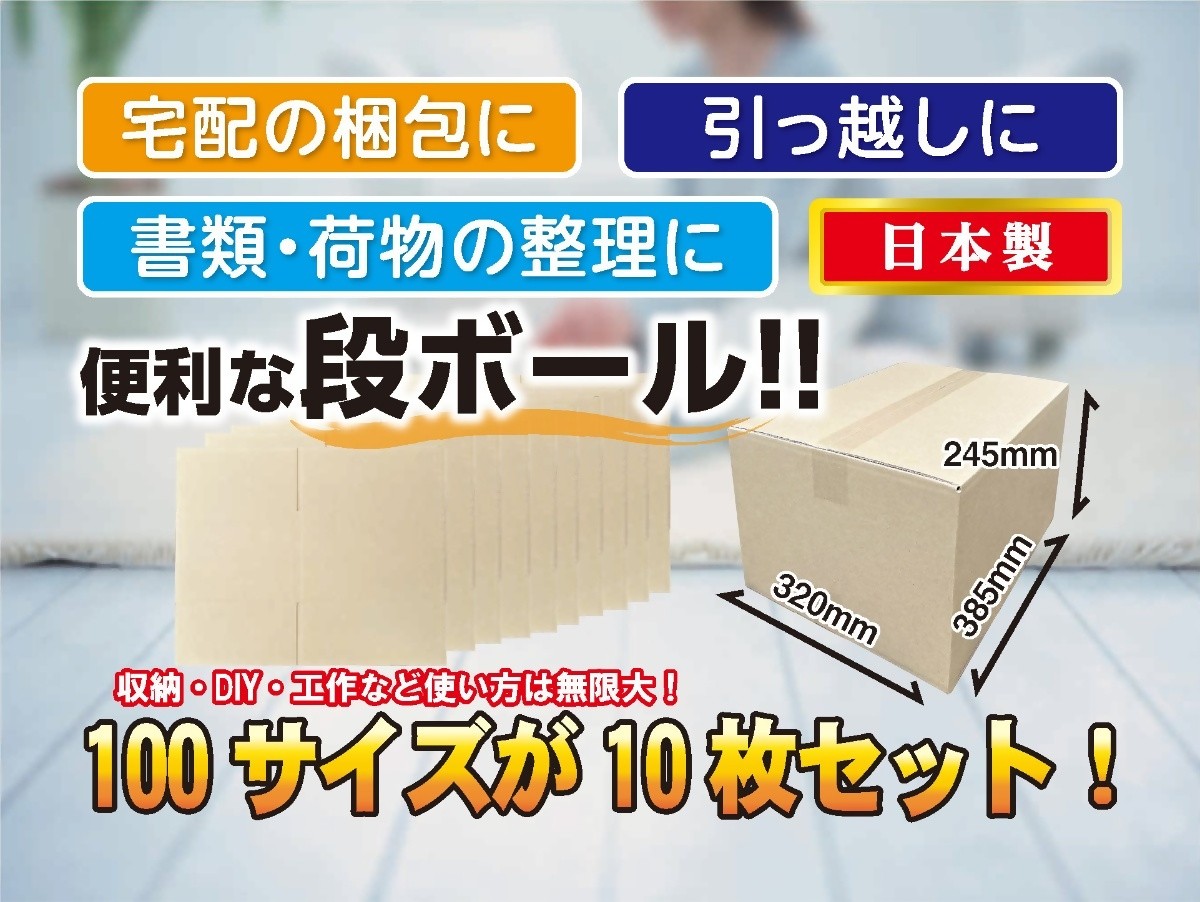 
            100サイズ 段ボール 10枚 梱包用
          