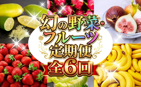 幻の野菜・フルーツ 定期便 6回お届け 先行予約 くだもの 果物 旬 めろん イチジク 夏 夏季 人気 愛知県 田原市 ド甘い