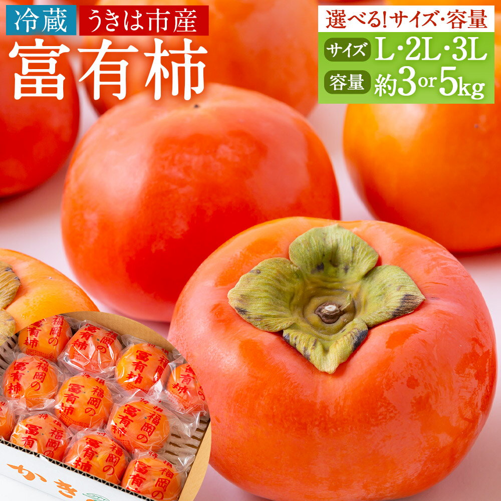 【ふるさと納税】 〈選べるサイズ・容量〉伊藤園 冷蔵富有柿 Lサイズ～3Lサイズ 10玉～12玉 ／17玉～19玉／9玉～11玉 ／14玉～16玉／7玉～9玉／12玉～14玉 【2025年12月中旬～12月下旬出荷予定】 12000円 ～ 18000円 1万2000円 ～ 1万8000円 送料無料 福岡県 うきは市