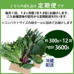 【爬虫類用】【定期便12回】 季節の葉っぱ詰め合わせ セット 約 300g 葉