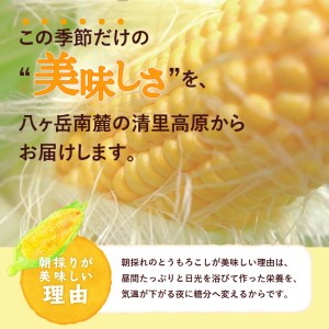 【2025年先行予約】北杜市産とうもろこし『味来』(みらい) 朝採り直送約5㎏セット(約14本） 【期間限定】 とうもろこし コーン 朝採り ミラクルスイートコーン 北杜市産 味来 14本 約5kg 