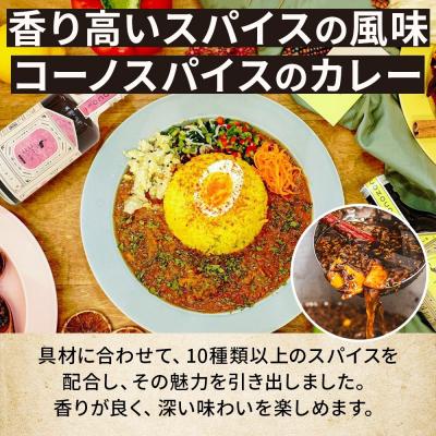 ふるさと納税 名古屋市 コーノスパイス チキンカレー 甘口 200g×3パック |  | 02