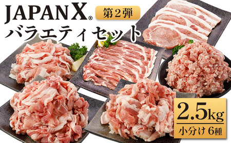 JAPAN X バラエティセット 第2弾 6種 2.5㎏　豚肉 豚 ブランド豚 小分け バラエティセット 豚こま 豚バラ 豚ロース ひき肉 ジャパンエックス 蔵王 人気　【04301-0888】