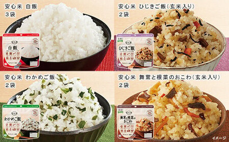 非常食 3日分【安心米9食セット】防災 備蓄 長期保存 アルファ化米/食物アレルギー対応/A４サイズ