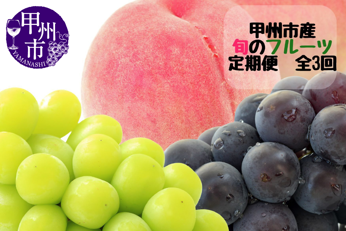【定期便】甲州市産厳選旬のフルーツ定期便全3回（桃・巨峰・シャインマスカット）【2027年発送】（MG）C8-480