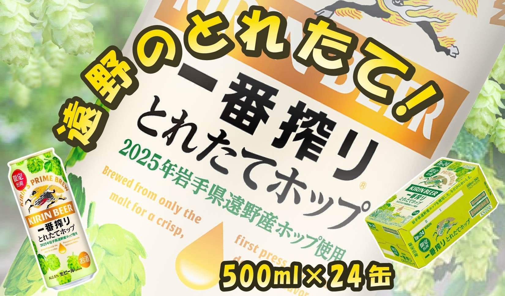 
                  キリン とれたてホップ 一番搾り 生ビール 500ml × 24本（1箱）／ 有限会社松田酒店  岩手県 遠野 産 ホップ 使用 キリンビール ギフト お歳暮 お祝い 数量限定
                