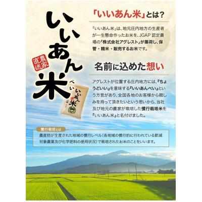 ふるさと納税 酒田市 【毎月定期便】「いいあん米」はえぬき無洗米5kg全12回 |  | 02