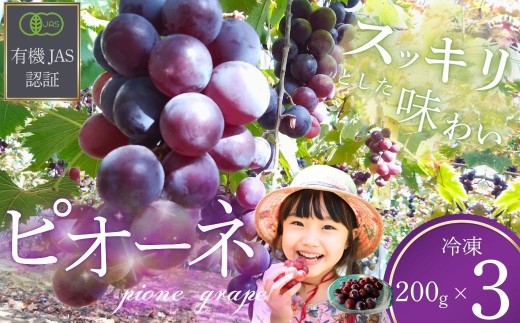ぶどう 【先行予約】「冷凍ぶどう」200g×3パック[2026年産] 【ぶどう ブドウ 葡萄 ピオーネ ぴおーね 冷凍ぶどう 冷凍 果物 くだもの クダモノ フルーツ 果実 農薬不使用 化学肥料不使用 有機JAS認証 無選別 おやつ デザート 返礼品】