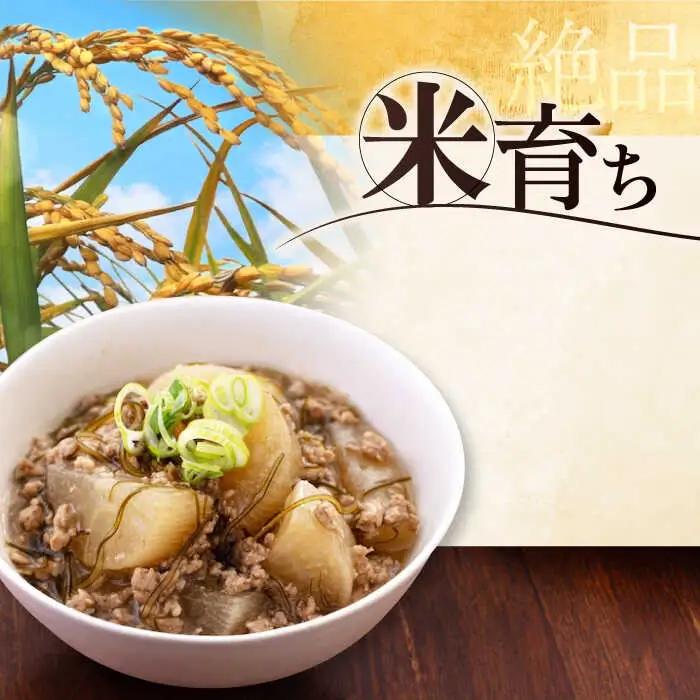 【全12回定期便】平田牧場 2種 セット 豚肉 詰め合わせ セット [AJAP045]