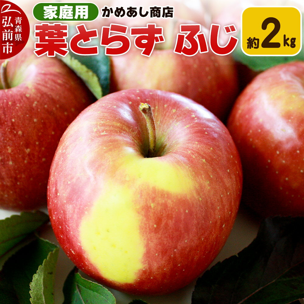 【ふるさと納税】【レビューキャンペーン】【25年11月発送】りんご 葉とらず ふじ【家庭用】約2kg ゴールド農園
