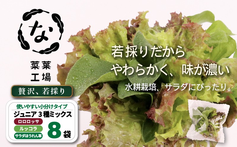 
                  葉野菜 若採り サラダ 3種ミックス ルッコラ ほうれん草 みずな なっぱトリオジュニア  | ベビー ほうれんそう ホウレンソウ 水菜 ミズナ 生食 野菜 セット 新鮮 健康 人気 おすすめ 高知県 南国市
                