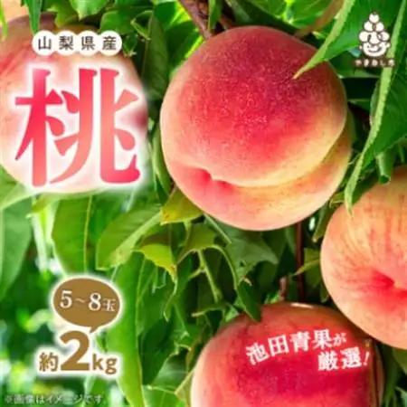 【発送月固定定期便】桃5～8玉(2kg)・シャインマスカット2房(1kg以上)全2回【配送不可地域：離島】【4066669】