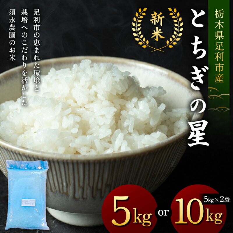 【ふるさと納税】＼選べる容量／令和7年産 新米 栃木県足利市産とちぎの星 5kg 10kg〈5kg×2袋〉 精米 白米 米 こめ ごはん 食品 栃木県 足利市 F7Z-1815var