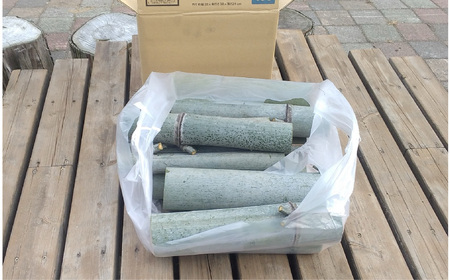 竹 モウソウチク 北限の竹 自然素材 国産 切りたて 新鮮 香り高い 加工 工作 インテリア DIY 園芸 クラフト [ やってみっか奔舎 宮城県 加美町 ]