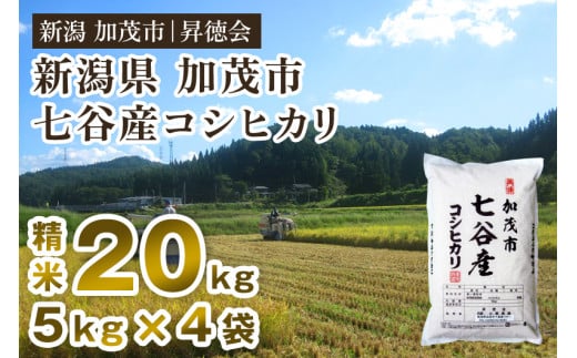 【令和7年産】新潟県加茂市 七谷産コシヒカリ 精米20kg（5kg×4） 白米 高柳地域産数量限定 昇徳会