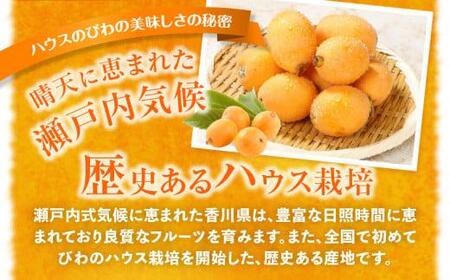 ハウスびわ 約1kg【2026-4月中旬～2026-5月上旬配送】