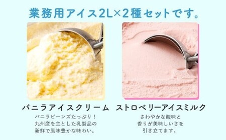 2Lアイス セット (バニラ・ストロベリー) 合計4L アイス 自家製 業務用 大容量
