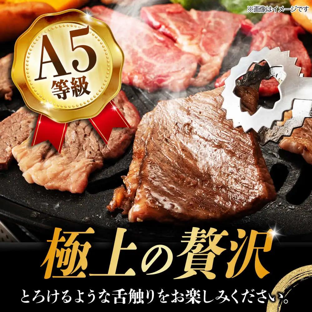 【3回定期便】 飛騨牛 ロース・肩ロース 1kg A5等級  [TAZ035] ロース 焼肉用